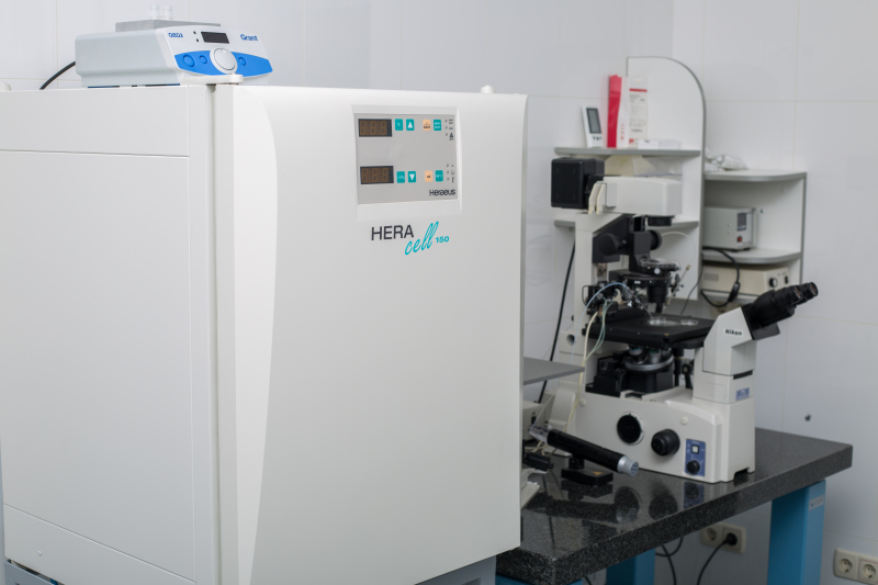 Cryopreservation of embryos, oocytes 